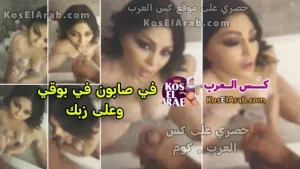 سكس هيفاء وهبي بتمص زب وبتستحمى وبتلعب في كسها وتدعك زبه بصابون حصريا كس العرب